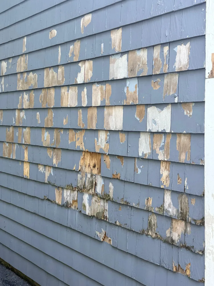 Close view of clapboard siding with paint peeling down to bare wood